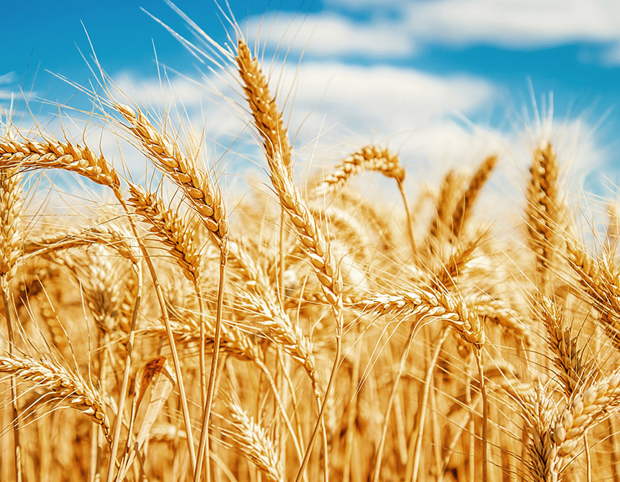  - 3 - Condutiva Tecnologia