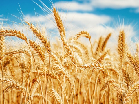  - 3 - Condutiva Tecnologia